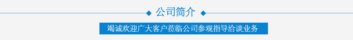 公司簡介